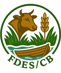 FDES--CB-removebg-preview